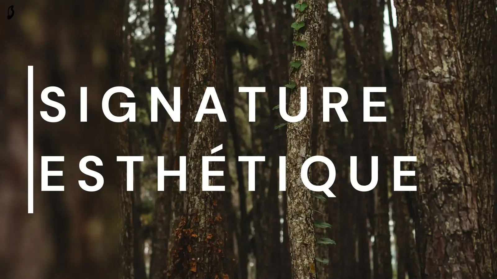 « Signature esthétique » en lettres blanches sur des troncs d'arbres en sous-bois, avec une liane grimpante au centre.